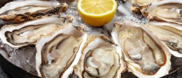 The Ultimate Road Trip for Oyster Lovers