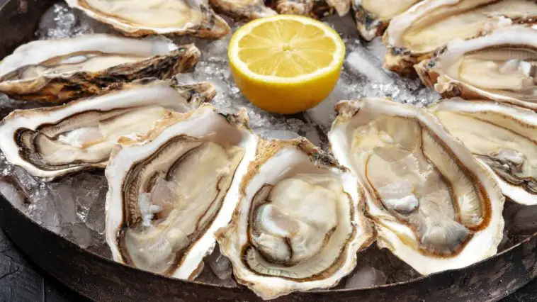 The Ultimate Road Trip for Oyster Lovers