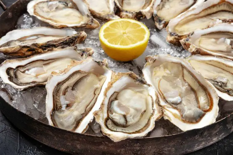 The Ultimate Road Trip for Oyster Lovers