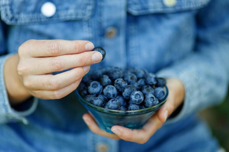 Proven Health Benefits of Blueberries