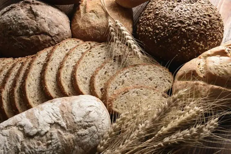 What’s The Difference Between Whole Wheat And Whole Grain Bread