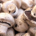 9 Different Types Of Mushrooms and Their Uses Around The World