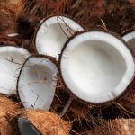 All You Need To Know About Coconuts
