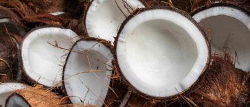 All You Need To Know About Coconuts