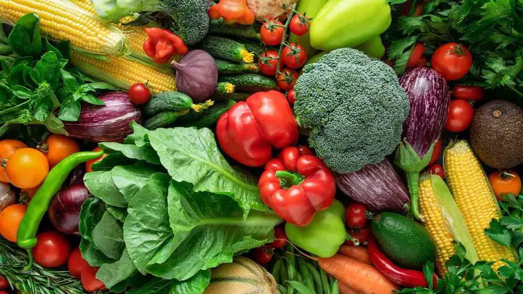 How Many Vegetables Have You Tried